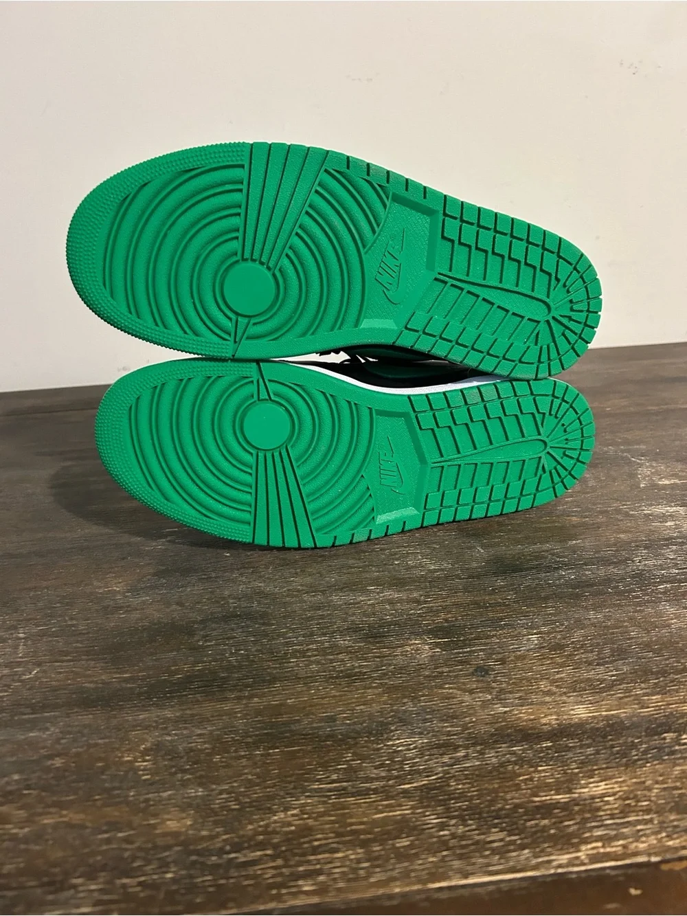 Jordan 1 Low SE bran new